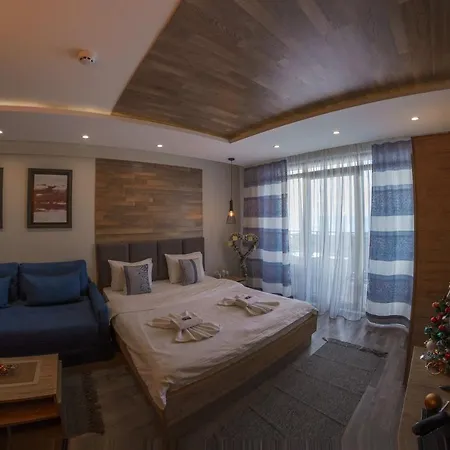 公寓 Premier 29 Milmari Wellness&spa 科帕奥尼克